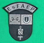 INSIGNIA OU PATCH, DE OMBRO, POLÍCIA MILITAR, PARANÁ,