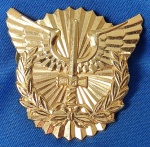 7 - FORÇA AÉREA BRASILEIRA - DISTINTIVO - CPEA - CURSO DE POLÍTICA E ESTRATÉGIA AEROESPACIAIS - METÉLICO - 4,6 X 4,7 CM