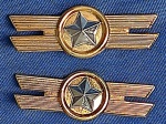 25 - FORÇA AÉREA BRASILEIRA - ANTIGO DISTINTIVO -  PAR - PRIMEIRO TENENTE -  4,5 X 1,7 CM
