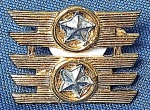 28 - FORÇA AÉREA BRASILEIRA - ANTIGO DISTINTIVO -  TENENTE CORONEL -  2,3 X 2 CM