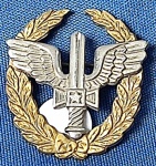 30 - FORÇA AÉREA BRASILEIRA - ANTIGO DISTINTIVO - CCEM -CURSO DE COMANDO E ESTADO MAIOR - METÁLICO - 2,7 X 3 CM