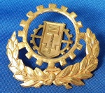 DISTINTIVO/INSIGNIA - ESPECIALISTA MOTO MECANIZAÇÃO - METAL - FRACIONADO -  4 X 4 CM