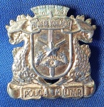 POLICIA MILITAR DO DISTRITO FEDERAL - RIO DE JANEIRO - INSIGNIA - 25 X 28 MM