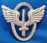 INSIGNIA -DISTINTIVO - FAB - FORÇA AÉREA BRASILEIRA -  40 X 35  MM