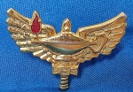 INSIGNIA -DISTINTIVO - FAB - FORÇA AÉREA BRASILEIRA -  CAP - CURSO DE APERFEIÇOAMENTO DE OFICIAIS - 35 X 25  MM