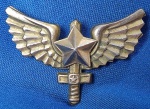 INSIGNIA -DISTINTIVO - FAB - FORÇA AÉREA BRASILEIRA - GLÁDIO ALADO - 40 X 25 MM - AFA