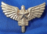 INSIGNIA -DISTINTIVO - FAB - FORÇA AÉREA BRASILEIRA - AFA - ACADEMIA DA FORÇA AÉREA - 20 X 30 MM