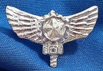 INSIGNIA -DISTINTIVO - FAB - FORÇA AÉREA BRASILEIRA - AFA - ACADEMIA DA FORÇA AÉREA - 20 X 30 MM