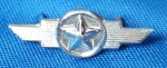 FORÇA AÉREA BRASILEIRA - INSIGNIA DISTINTIVO - SEGUNDO TENETE - 7 X 27 MM