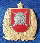 ACADEMIA DE POLÍCIA MILITAR - INSIGNIA - METÁLICA - DOURADA - 3,5 X 4 CM