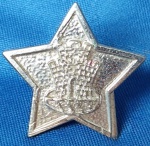DISTINTIVO/INSIGNIA - COLÉGIO MILITAR - ESTRELA METÁLICA - 2,8 CM