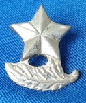 DISTINTIVO - INSIGNIA - ESCOLA MILITAR - 1,8 X 2 CM