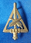 INSIGNIA -DISTINTIVO - MILITAR - QUADRO COMPLEMENTAR  -  20MM