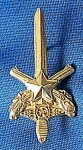 INSIGNIA -DISTINTIVO - POLÍCIA MILITAR -  40 X 20  MM