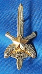 INSIGNIA -DISTINTIVO - POLÍCIA MILITAR -  40 X 20  MM