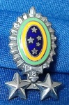 ANTIGA INSIGNIA -DISTINTIVO - EXÉRCITO BRASILEIRO -  GENERAL DE BRIGADA  - 25 X 15 MM - ESTAMPADO FUNDIDO - FIXAÇÃO POR ALFINETE