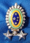 ANTIGA INSIGNIA -DISTINTIVO - EXÉRCITO BRASILEIRO -  GENERAL DE BRIGADA  - 25 X 15 MM - ESTAMPADO FUNDIDO - FIXAÇÃO POR ALFINETE