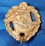 ANTIGA INSIGNIA -DISTINTIVO - POLICIA MILITAR AMBIENTAL  - 20 X 23 MM - METÁLICA - ALFINETE