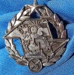 ANTIGA INSIGNIA -DISTINTIVO - POLICIA MILITAR AMBIENTAL  - 20 X 23 MM - METÁLICA - ALFINETE