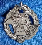 ANTIGA INSIGNIA -DISTINTIVO - POLICIA MILITAR AMBIENTAL  - 27 X 23 MM - METÁLICA - ALFINETE