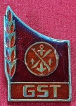 ALEMANHA ORIENTAL - DDR - GST - BEST SOLDIER BADGE
