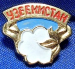 UNIÃO SOVIÉTICA - PIN DISTINTIVO -  UZBEQUISTÃO - EMBLEMA DO ALGODÃO