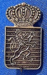 HERÁLDICA - ALFINETE - DISTINTIVO - LEÃO ROMPANTE - PRAGA -  20 MM