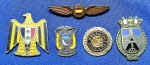 28 - PIN DISTINTIVO - LOTE - NO ESTADO