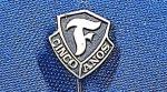 PIN/DISTINTIVO - FIRESTONE PNEUMÁTICOS - CINCO ANOS DE CORPORAÇÃO