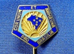 PIN/DISTINTIVO - ADESG - ASSOCIAÇÃO DOS DIPLOMADOS DA ESCOLA SUPERIOR DE GUERRA