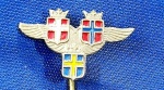PIN/DISTINTIVO - SAS - SCANDINAVIAN AIRLINES