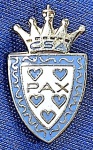 PIN/DISTINTIVO -  COLÉGIO SANTO AMÉRICO