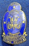 PIN/DISTINTIVO -  COLÉGIO ARQUIDIOCESANO - IRMÃOS MARISTAS