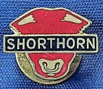 PIN/DISTINTIVO - SHORTHORN  FOOTBALL