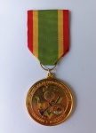 MILITARIA - Antiga medalha da Associação de Veteranos da FEB.