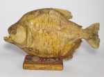 Taxidermia - Grande e Antigo Peixe espécie Piranha - Origem: Amazônia  - Empalhado sobre base de madeira - Conforme fotos - Medida do peixe sem a base: 32 cm de comprimento x 18 cm de altura x 5 cm.