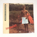 Vinil  Os Paralamas do Sucesso  Selvagem?.  Produto Original. Gravadora EMI. 1986. Fabricado e distribuído por EMI-ODEON Brasil. Capa (desgastes do material, escurecida e com pontos de oxidação)/contracapa (com desgastes do material, pontos de oxidação, escurecida e com etiqueta colada) em regular estado de conservação, danificada nas bordas colada com fita adesiva, manchas/pontos de oxidação, marcação do disco, com sinais de uso, manuseio e desgastes. Contém plástico de proteção do disco, porém o mesmo está danificado. Disco com riscos, mesmo que superficiais podem ocasionar algum nível de ruído na audição. Contém encarte. Lado A  5 faixas; Lado B   5 faixas.
