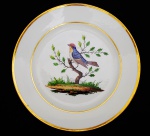 DOM JOÃO VI  SERVIÇO DE NAST  O PRATO DESSE SERVIÇO REPRODUZIDO POR JENNY DREIFFUS NO LIVRO LOUÇA DA ARISTOCRACIA DO BRASIL NA PAGINA 181 É O MESMO OFERTADO  AGORA NO LEILÃO. PRATO EM PORCELANA DE PARIS , DA MANUFATURA DA RUE POPPINCOUTT DE JEAN NEPOMUCENE-HERMANN NAST. LINDO PRATO EM PORCELANA COM ABA DELIMITADA POR FRISOS EM OURO E RESERVA NA CALDEIRA COM LINDO PÁSSARO SOBRE RAMAGEM. PERTENCEU AO SERVIÇO DE DOM JOÃO VI UTILIZADO NO BRASIL. FRANÇA, SEC. XIX. 23,5 CM DE DIAMETRONOTA: De acordo com Leila Mezan Algranti, em seu artigo: Em torno da mesa do rei: artefatos, convivialidade e celebração no Rio de Janeiro joanino, em 26 de abril de 1821, após doze anos de estadia no Rio de Janeiro, iniciava-se a viagem de regresso de D. João VI a Portugal a fim de, mais uma vez, preservar sua Coroa e domínios. Para a autora, a partida da Corte foi precedida de muitas indecisões políticas e de intensos preparativos de ordem prática, da mesma forma como acontecera ao viajar para o Brasil, em 1807. Naquela ocasião, em meio aos riscos de invasão do Exército napoleônico, foi necessário acomodar nas embarcações não só os ilustres passageiros, mas também um conjunto imenso e variado de coisas destinadas ao uso particular de seus proprietários, bem como da Casa Real.Um conjunto de peças de prata, roupas de mesa e artigos de copa, recém-chegados do Rio de Janeiro, viajou para Lisboa sob a incumbência de Joze de Britto, fiel da mantearia do rei, e foi entregue no pátio das cozinhas do Palácio da Ajuda a Joze Caetano Trigo, também funcionário do mesmo departamento da Casa Real, o qual realizou o registro das peças e o assinou por ordem de João Lourenço de Andrade que, por sua vez, recebeu todo o material em nome de Caetano Joze de Campos e Andrade Pinto, manteeiro da Casa Real, naquele momento. O título do registro Inventário da Prata, Roupa e mais trem pertencente à Mantearia de Sua Majestade que veio do Ryo de Janeiro indica claramente que, ao retornar do Rio de Janeiro, D. João VI fez embarcar objetos de prata, os quais constituíam parte ou a totalidade de um serviço de mesa. Entretando deixou no país quase todos os serviços de porcelana adquiridos para seu uso aqui ou trasladados de Portugal quando de sua fuga. O conjunto poderia conter elementos da famosa baixela Germain, assim denominada por ter sido encomendada a François Germain por D. José I, em 1756, após o terremoto ter destruído a baixela de D. João V, fabricada pelo ourives de Luís XIV (Thomas Germain) e pai do prateiro de D. José. A suposição de que poderia haver peças da baixela Germain de D. José I entre os artefatos registrados no inventário advém do fato de que há informações sobre seu transporte para o Brasil, bem como estudos referentes à divisão da mesma entre D. João VI e D. Pedro I, antes do retorno do monarca a Portugal. Os bens que permaneceram no Brasil, por sua vez, teriam sido gravados com as insígnias imperiais e o monograma P1º. De acordo com Leonor d'Orey, considerando-se o que atualmente se encontra preservado desta baixela em Portugal, o lote do imperador do Brasil era menor, embora incluísse várias peças muito prestigiosas, as quais se encontram dispersas em coleções particulares e de museus estrangeiros, vendidas após a deposição de D. Pedro II. Sabe-se igualmente que entre a prataria de mesa de grande aparato pertencente à Casa Real havia peças da baixela dos duques de Aveiro, confiscada pela Coroa, após o atentado a D. José em 1759,15 assim como peças denominadas avulsas. Por outro lado, as baixelas para D. Pedro I foram encomendadas às famosas casas francesas, embora a técnica dos ourives radicados no Brasil fosse excelente, como apontou Francisco Marques dos Santos. Segundo o mesmo autor, muitas dessas peças emigraram, mas algumas voltaram. Havia, portanto, na corte no Rio de Janeiro, mais de um serviço de mesa em prata, sendo que um conjunto significativo dessas peças atravessou o Atlântico pelo menos duas vezes, a exemplo do que se sucedeu com a Família Real. Além disso, vários desses objetos foram possivelmente fabricados na França e na Inglaterra, uma vez que os prateiros portugueses nem sempre eram considerados, na época, suficientemente habilidosos para agradar o sofisticado gosto da alta nobreza portuguesa, consumidora de produtos de luxo importados não só de outros países da Europa, como do Oriente. Embora, como apontou Gonçalo de Vasconcelos e Sousa, houvesse prateiros de renome em Portugal, fabricando artefatos de mesa e mesmo baixelas completas, cuja qualidade do trabalho atingiu durante o século das Luzes um dos seus momentos mais importantes. De qualquer modo, a mesa da Casa Real e aquelas de outros membros das elites europeias e luso-brasileiras eram há muito tempo aparamentadas com artefatos de prata estrangeiros, bem como com porcelanas e vidros chineses, germânicos e franceses. Como bem apontou Nuno Vassallo e Silva, em seu estudo sobre a ourivesaria da mantearia da Casa de Aveiro, não é possível refletir sobre as baixelas de prata ou de porcelana usadas na mesa real sem levar em conta a conexão dessa indústria com as manufaturas europeias e orientais. Assim, é possível dizer que os objetos de luxo destinados ao serviço de mesa da Corte joanina, no Rio de Janeiro, resultavam de um circuito comercial e de comunicação que interligava diferentes impérios coloniais (português, inglês, francês), os quais se estendiam por três continentes: Europa, Ásia e América. No caso dos artefatos de prata que nos interessam comentar neste estudo, é provável que a matéria-prima utilizada fosse originária da América espanhola, tendo retornado ao mesmo continente após ter sido trabalhada por habilidosos artesãos franceses para uso e ostentação dos monarcas portugueses. Por outro lado, tais objetos indicam um movimento mais amplo de evolução do gosto e da maneira de viver dos membros da aristocracia europeia, que remonta ao final do século XVII, cuja etiqueta de mesa foi fixada na corte de Luís XIV. Como assinalou Marco Daniel Duarte, a alta sociedade quando se sentava à mesa se quer aprisionar por regras de etiqueta rígida. Mesmo levando-se em conta que no final do século XVIII Portugal acompanhava o restante da Europa, adotando nos banquetes reais a porcelana das índias e francesa como alternativas às baixelas de prata, conforme esclareceu Cristina Neiva, a prataria de mesa continuava a representar a riqueza e o poder das famílias reais, haja vista não só a encomenda de D. José I a François Germain, cuja baixela foi produzida ao longo da segunda metade do século XVIII, como também o fato de esta ter sido dividida entre o monarca e seu primogênito, antes da partida de D. João VI para a Europa. Sinal de que as mesas dos reis não poderiam prescindir dos objetos de prata em algumas situações. Observa-se de imediato na lista de bens que chegaram do Rio de Janeiro que os objetos destinados à copa eram de cobre ou de bronze, enquanto os de mesa eram em prata. Um dado indicativo da separação dos dois espaços tanto em termos de funções destinadas à alimentação como de simbologia e hierarquia dos objetos no ambiente doméstico. Estes atestam algumas tarefas desempenhadas no espaço, como a preparação das frutas e dos doces, bem como de clarear o sal, fazer e distribuir o pão e as saladas, além de confeccionar e realizar as obras de decoração. A copa oferecia ainda suporte ao serviço de mesa. Na lista analisada, há diferentes tipos de objetos, como, por exemplo, cafeteiras de cobre com e sem torneiras, além de chocolateiras e chaleiras do mesmo material, assim como tachos, escumadeiras, frigideira de ferro para torrar café, caixas para conduzir a prata e as iguarias, tabuleiros sortidos, gral de pedra e bancos para arear facas. A qualidade e, especialmente, a quantidade dos objetos nos permitem pensar que estes poderiam ser utilizados em uma mesa servida à francesa forma ainda predominante no período joanino , na qual os alimentos eram oferecidos em duas ou três mesas sucessivas cobertas com travessas de alimentos de vários tipos. Daí denominarem-se primeira, segunda e terceira cobertas ou serviços. A última coberta era de doces e de frutas, como indicam os livros de receitas do período e os protocolos a serem seguidos nos banquetes oficiais. O serviço de mesa à francesa necessitava de um grande número de objetos do mesmo tipo, não só para dispor simultaneamente os vários alimentos de uma coberta, como para promover rapidamente a reposição das iguarias nas sucessivas mesas ou cobertas. Os serviços em porcelana são divididos entre as porcelanas de encomenda da China (cia das índias): Galos , Pavões, Corças, Correios, Pastores, das Rosas, Vista Grande e Vista Pequena. Há também registro dos Europeus: Reino Unido e Camaristas, em porcelana francesa, Espinha de peixe e os chamados 'de barra bordeaux' , 'sépia e verde' e "de barra rosa"chamado Pingo de Ouro, em porcelana possivelmente também francesa, o de "Wedgwood" e o conhecido também como "das Rosas", em porcelana inglesa.