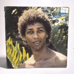 Vinil Djavan: Meu lado. Produto Original. Gravadora CBS MasterWorks. Fabricado e distribuído por Discos CBS Ind e Com Ltda. Capa (com etiqueta colada, escurecida, com pontos de oxidação e desgastes do material)/contracapa (com pontos de oxidação, escurecida e com desgastes do material) em regular estado de conservação, manchas/pontos de oxidação, marcação do disco, com sinais de uso, manuseio e desgastes. Disco com riscos, mesmo que superficiais, podem ocasionar algum nível de ruído na audição. Contém encarte. Lado A5  faixas. Lado B 4 faixas.