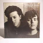 Vinil Tears for Fears: Songs from the big Chair. Produto Original. Gravadora Mercury. Fabricado e distribuído por Fonobrás distribuidora fonográfica brasileira Ltda. 1985. Capa (escurecida, com pontos de oxidação e desgastes do material)/contracapa (com pontos de oxidação, escurecida e com desgastes do material) em regular estado de conservação, manchas/pontos de oxidação, marcação do disco, com sinais de uso, manuseio e desgastes. Contém plástico de proteção do disco. Disco com riscos, mesmo que superficiais, podem ocasionar algum nível de ruído na audição. Contém encarte. Lado A 4 faixas. Lado B 5 faixas.