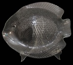 ARCOROC, França, Travessa em vidro translucido representando peixe. Acondicionado em caixa original. Med.: 38,5x33cm.
