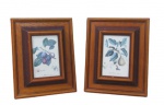 QUADROS, Duas reproduções emolduradas representando frutos e folhagens em policromia, moldura em madeira medindo: 27,5x22cm.