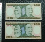 BRASIL - 2 CÉDULAS DE 1000 CRUZEIROS - C163 - C164 -1984 E 1985- BARÃO DO RIO BRANCO - FLOR DE ESTAMPA