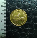 MOEDA DE OURO EMITIDA PELO BANCO DO BRASIL - 10 GRAMAS DE OURO PURO - VITORIA RÉGIA - DIA MUNDIAL DO MEIO AMBIENTE