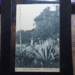 Bilhete Postal do Brasil, Jardim do Museu Nacional, Rio de Janeiro (150), A. Ribeiro. Nº254