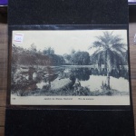Bilhete Postal do Brasil, Jardim do Museu Nacional, Rio de Janeiro (149), A. Ribeiro. Nº255