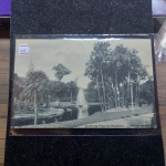 Bilhete Postal do Brasil, Jardim da Praça da República, Rio de Janeiro (130), A. Ribeiro. Nº268