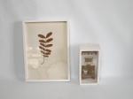 Dois itens, 1 quadro com moldura em madeira patinada de branco, com galho com folhas de pau Brasil, e 1 representando ambiente com banco e objetos de decoração. Um quadro mede 32 cm x 25 cm e o outro 20 cm x 10 cm.