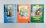 Lote com 3 Livro de Coleção ''A Turma dos Tigres'' - A VITIMA DE UMA ARMADILHA, UMA MÚMIA AO VOLANTE E MISTÉRIO EM VENEZA - Thomas Brezina - Editora Ática - Possui algumas anotações em algumas páginas - Brochura - Medida de cada livro: 22 x 15 cm.