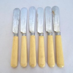 HERCULES - Conjunto com 6 (seis) espatulas para patê em aço inox com cabo de plastico em creme. Med.: 15cm. Apresenta pontos de oxidação.